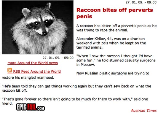 Caught on camera: epic Rape Fail, Raccoon Win