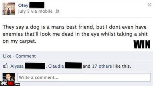 Watch: facebook Status Win