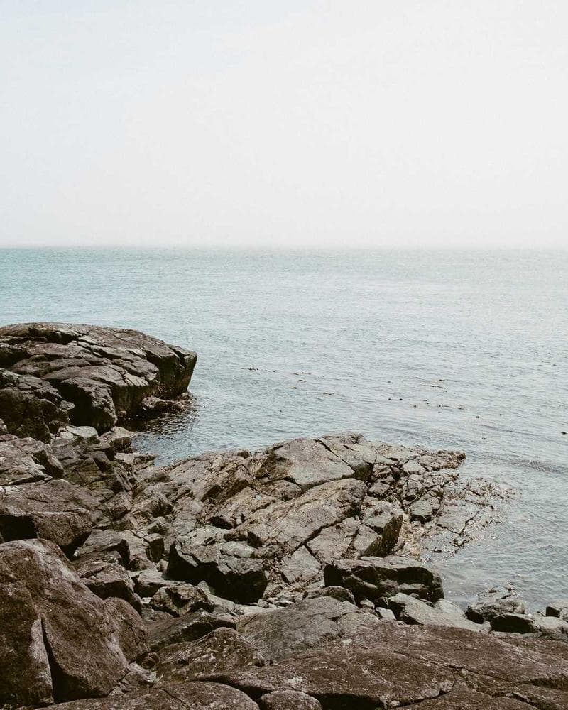 YOU WON'T BELIEVE THIS