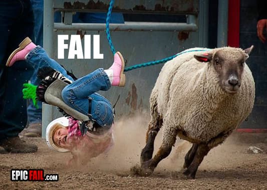 Little Girl Captured Falling From Sheep — fail moment