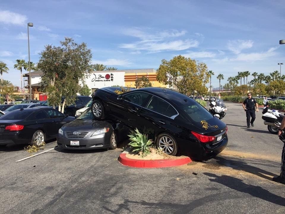 DAVID ATTENBOROUGH SHOULD BE NARRATING THIS