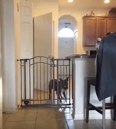 WHEN THE PIZZA GUY RINGS THE BELL — spot-the-difference scene