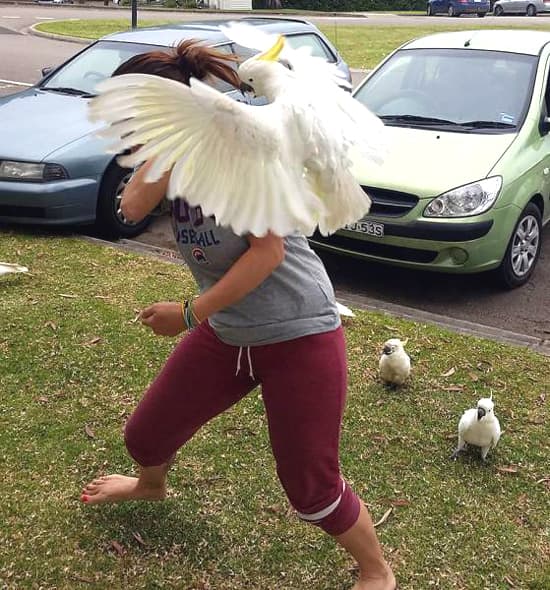 YOU'RE IN THE WRONG HOOD BECKY — fail moment