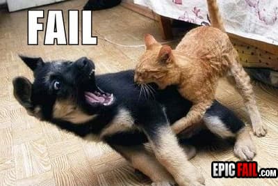 Moment: dog>Cat Fail