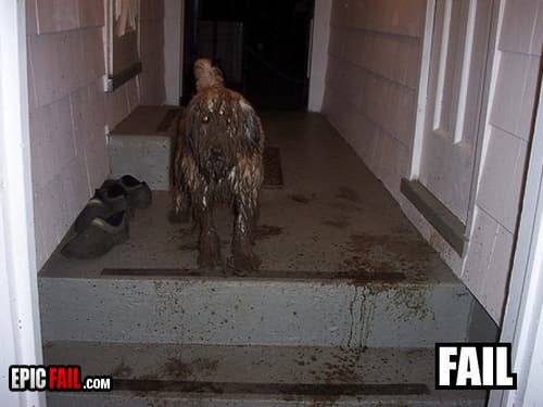 Clip: dog Fail