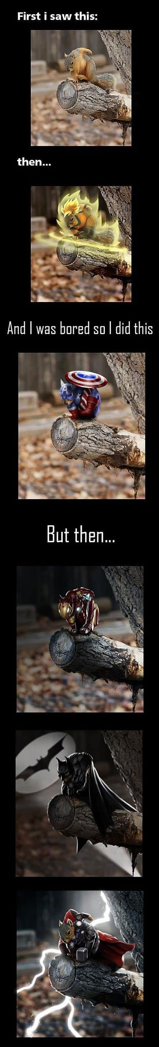 Caught on camera: epic Boredom Win