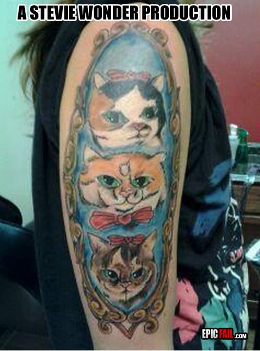 Caught on camera: cat Tattoo Fail