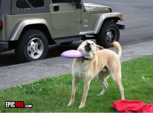 Scene: catch Fail