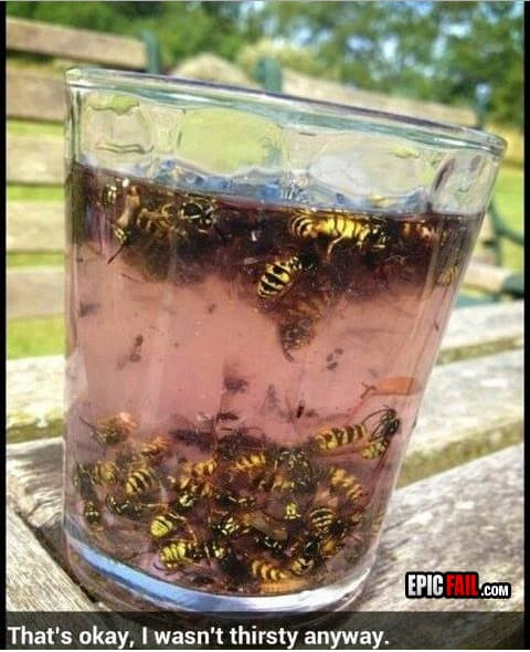 Scene: bees FAIL