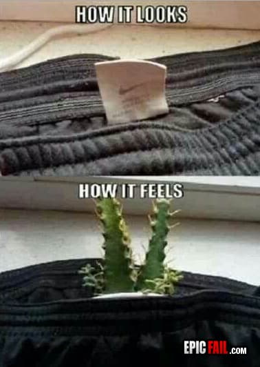 Scene: comfort FAIL