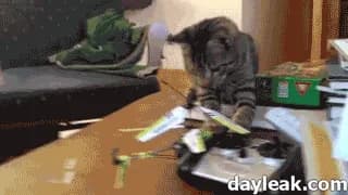 Clip: curiosity FAIL