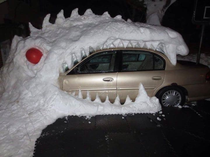 Buffalo Keeping their Sense of Humor — fail moment