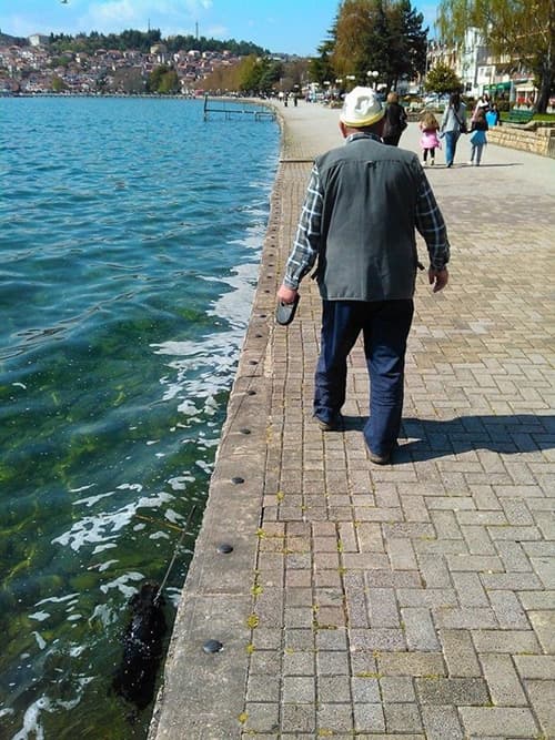 Just Walking the Dog — fail moment