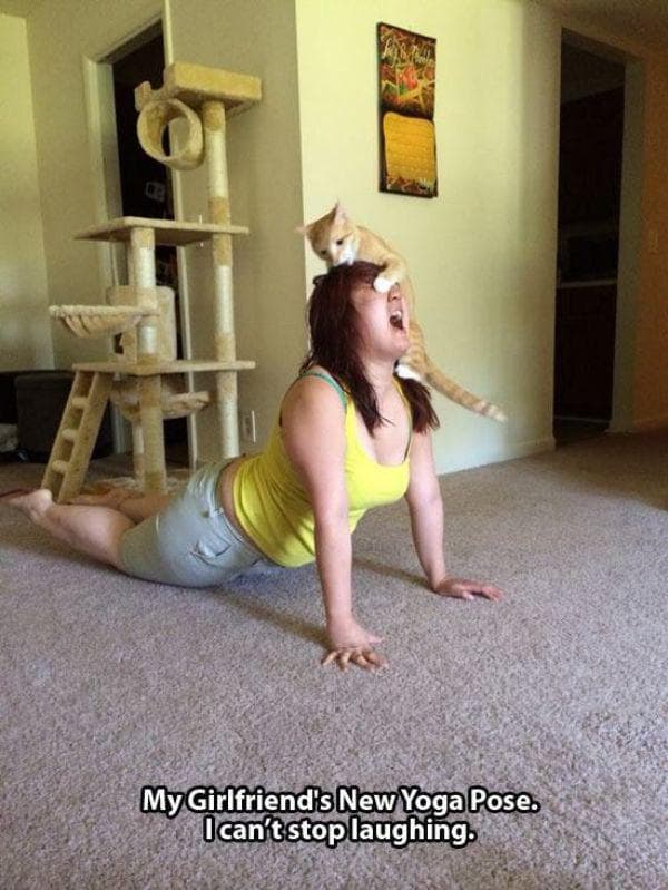 It's Downward Facing CAT Now! — fail moment