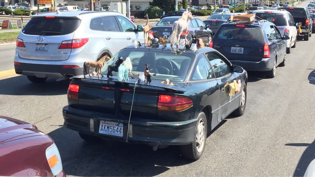 Brony Mobile — fail moment