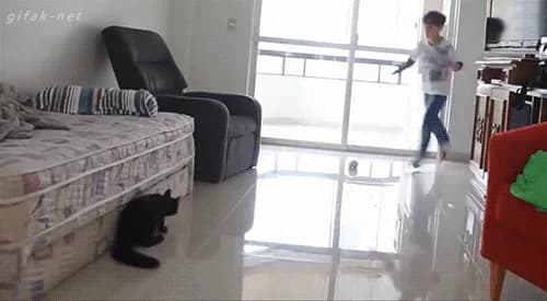 DENIED — fail moment