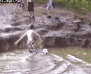 "CANNONBA..." — fail moment
