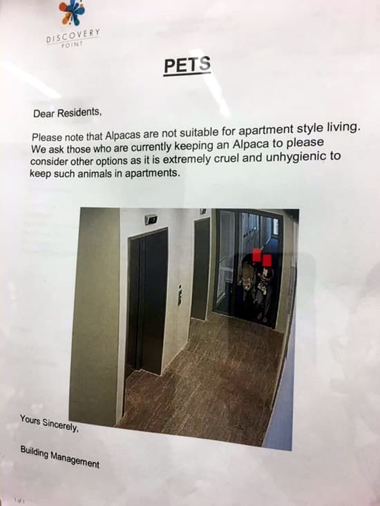 Don't Tell us How to Live our Lives — fail moment