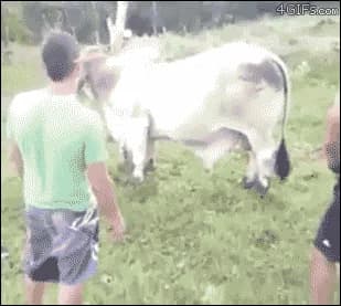 Calcium Denied — fail moment
