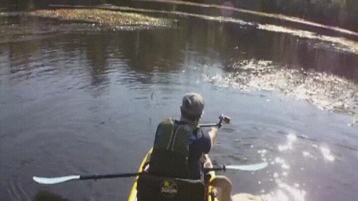 A Hunter is Born — fail moment