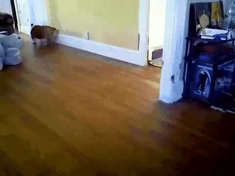 AIR-BOOP — fail moment