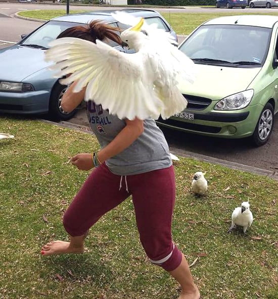 YOU'RE IN THE WRONG HOOD BECKY — fail moment