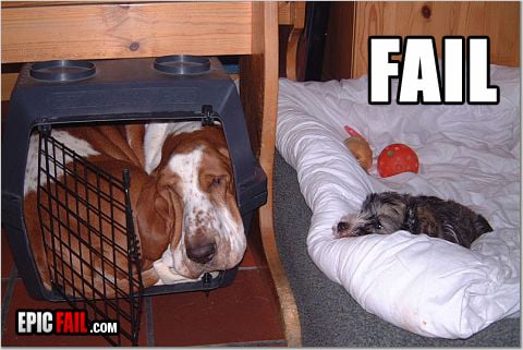 Watch: dog Cage Fail
