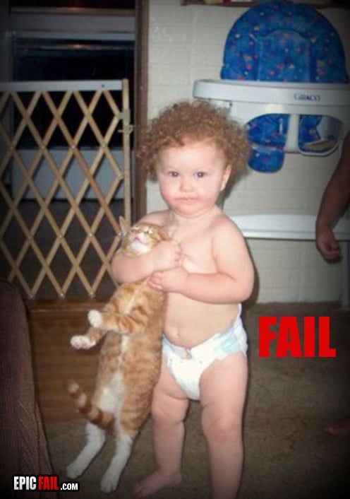 Clip: cat Fail