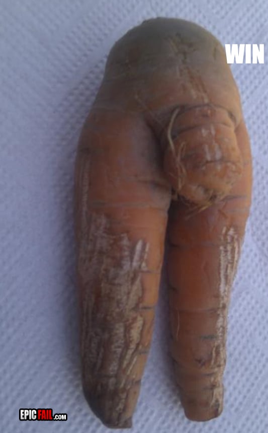 Scene: carrot Fail