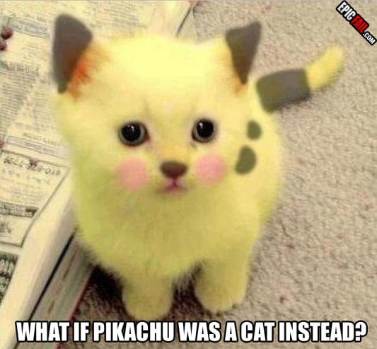 Caught on camera: pikacat Win