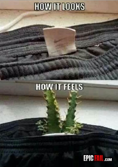 Scene: comfort FAIL