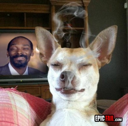 Caught on camera: snoop Dogg WIN