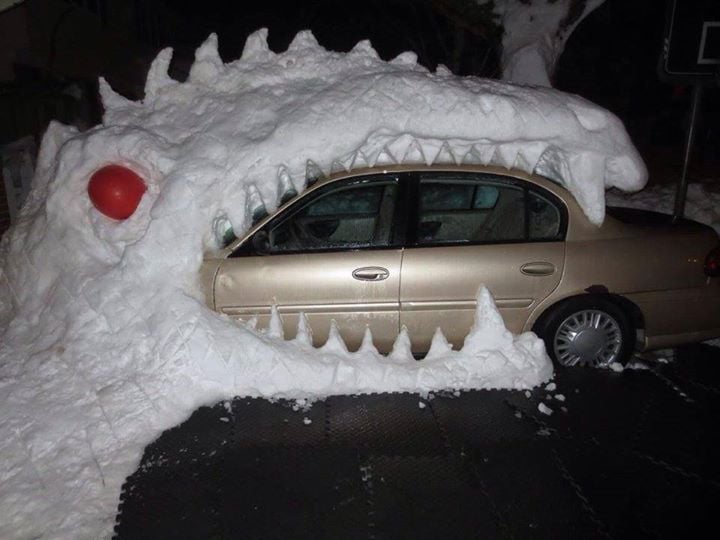 Buffalo Keeping their Sense of Humor — fail moment