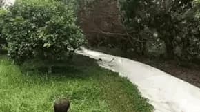 Clip: 1 SLIDE, 5 FAILS
