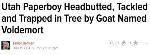 The most bizarre news headline — WTF moment