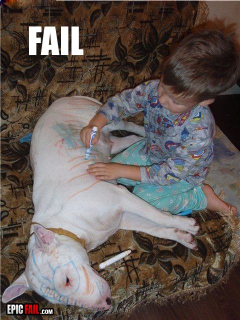 Boy scribbles on dog — fail moment