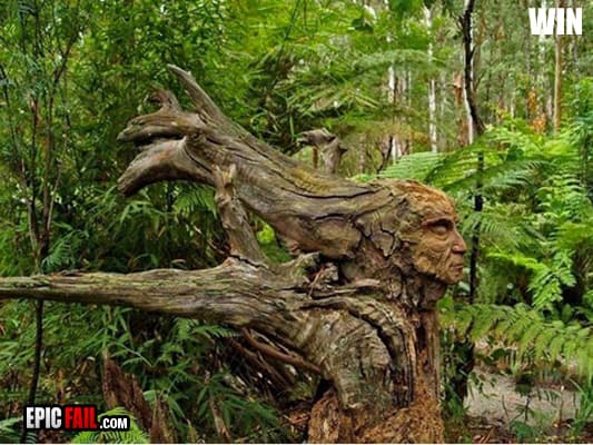 Clip: tree Carving Win