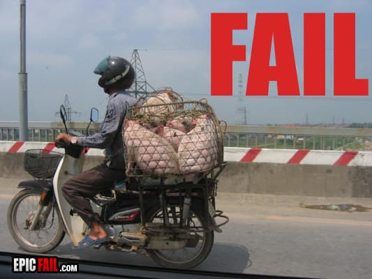 Caught on camera: animal Comfort Fail