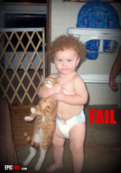 Clip: cat Fail