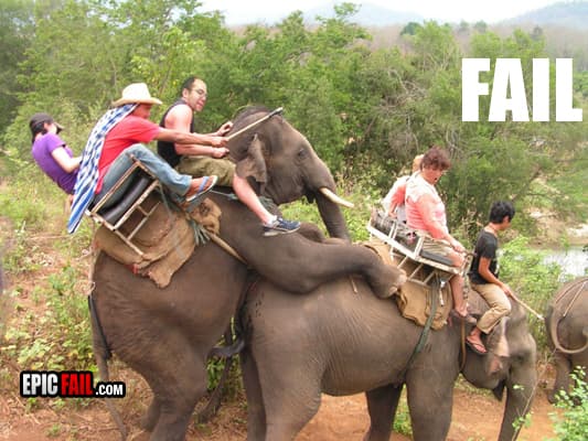 Clip: safari Fail