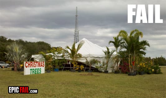 Caught on camera: christmas Trees Fail