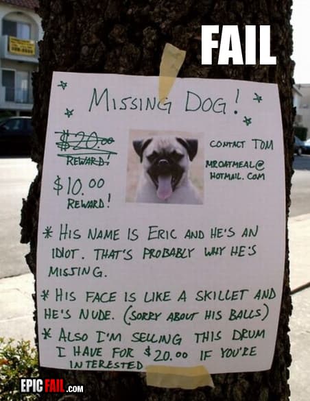Watch: dog Owner Fail
