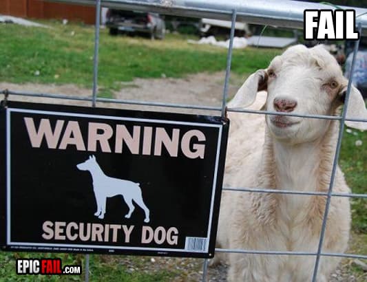 Moment: security Dog Fail