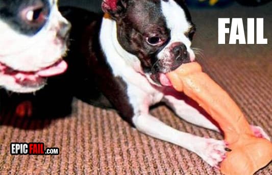 Scene: chew Toy Fail