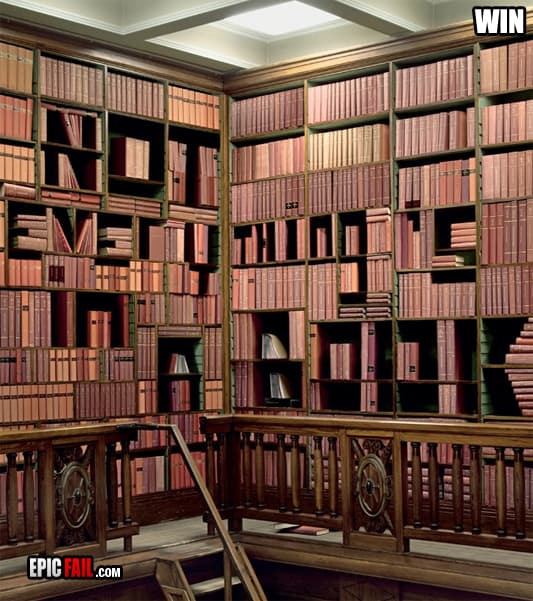 Caught on camera: book Stacking Win
