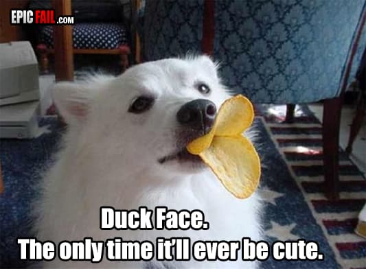 Clip: duck Face Win