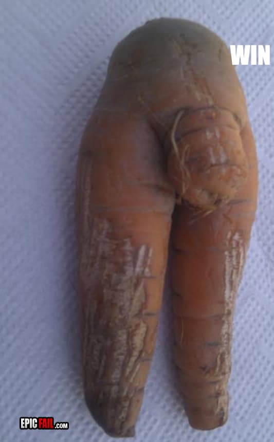 Scene: carrot Fail