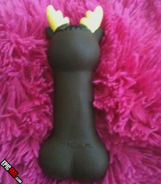 Scene: dog Toy Fail