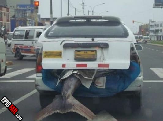 Scene: wTF Consideration Fail