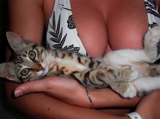 Moment: cleavage Win